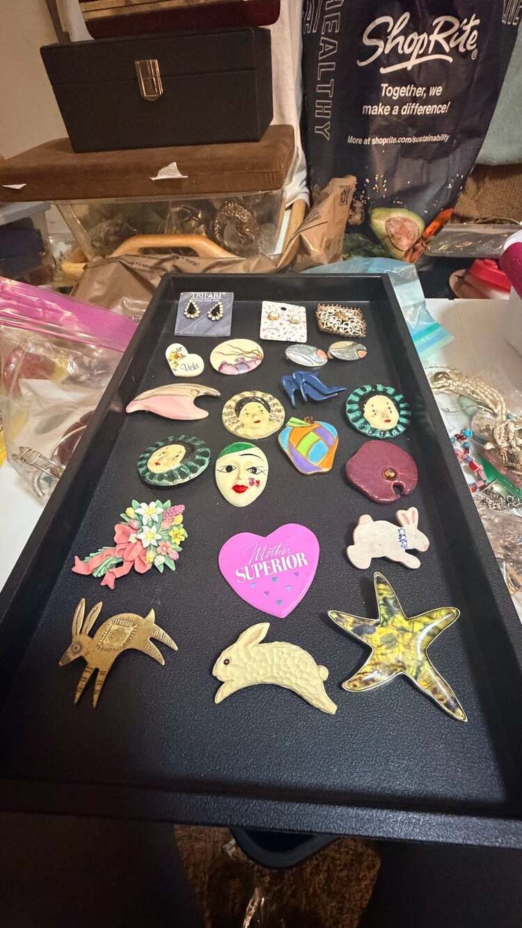 Vintage Mixed Assortment of Decorative Lapel Pins and Brooches & Earrings